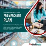 Pro Merchant eCommerce Website Plan